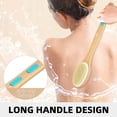 thumbnail image 3 of Body brush for wet or dry brushing with long wooden handle, 3 of 5