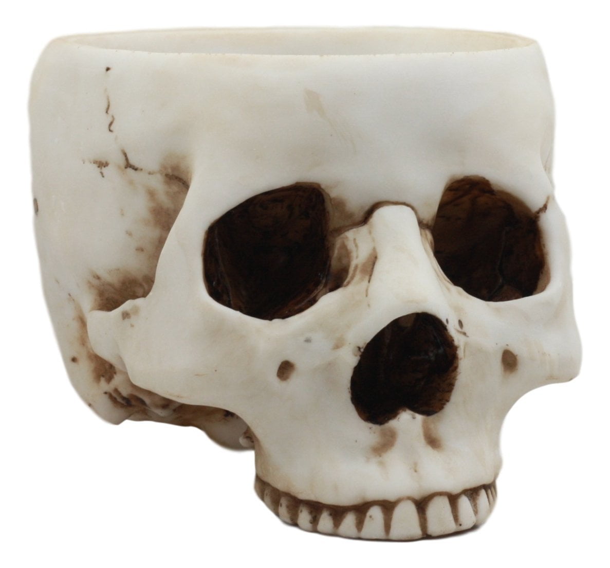 Ebros Gift Day Of The Dead Bone Skull Bowl Figurine 6.75"Long Skeleton Head Gardening Planter Sculptural Vessel Treat Container Decorative Bowl