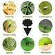 thumbnail image 4 of 20 Piezas Trampas Pegajosas Doble Cara Trampa para Planta (), 4 of 6