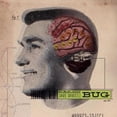thumbnail image 1 of Bug, 1 of 1