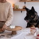 thumbnail image 4 of 10 Pack Dog Round Scent Training Box Smell Training Nose Working Dog Training Tools, 4 of 4