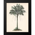 thumbnail image 2 of Wang, Melissa 15x18 Black Modern Framed Museum Art Print Titled - Palm Tree Study II, 2 of 5