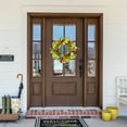 thumbnail image 2 of Northlight Decorative Polyester Floral Spring Garden Style Poppy and Eucalyptus Artificial Wreath, Green, 2 of 7