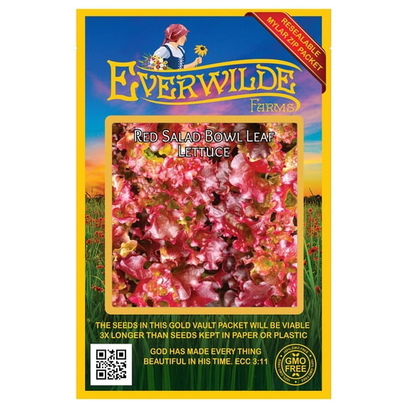 Everwilde Farms - 1000 Red Salad Bowl Leaf Lettuce Seeds - Gold Vault Jumbo Bulk Seed Packet