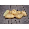 thumbnail image 1 of Potato Bintje, 1 of 1