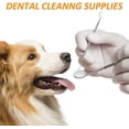 thumbnail image 2 of Scaler Dog Tooth Cleaning Kit Stainless Steel Dental Care Set Tooth Cleaning Tool For Pet, 2 of 5