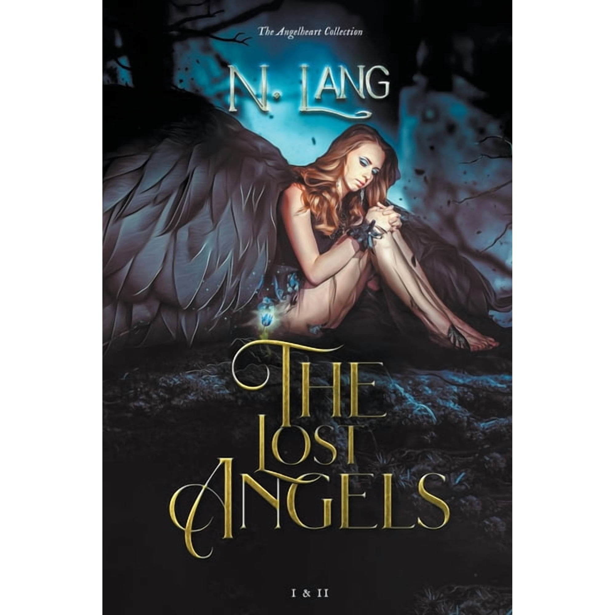 The Lost Angels: I & II The Angelheart collection (Paperback)