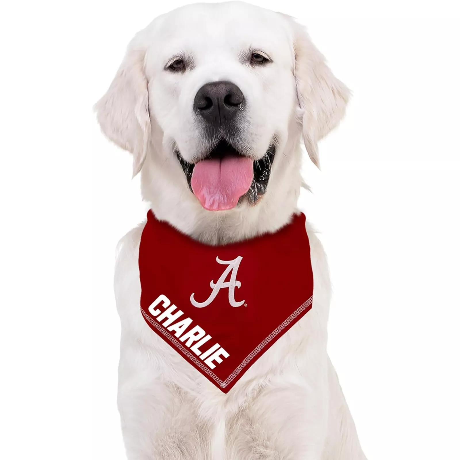 Pets First NCAA Personalized Tie Bandana for Dogs & Cats Sporty Dog Bandana