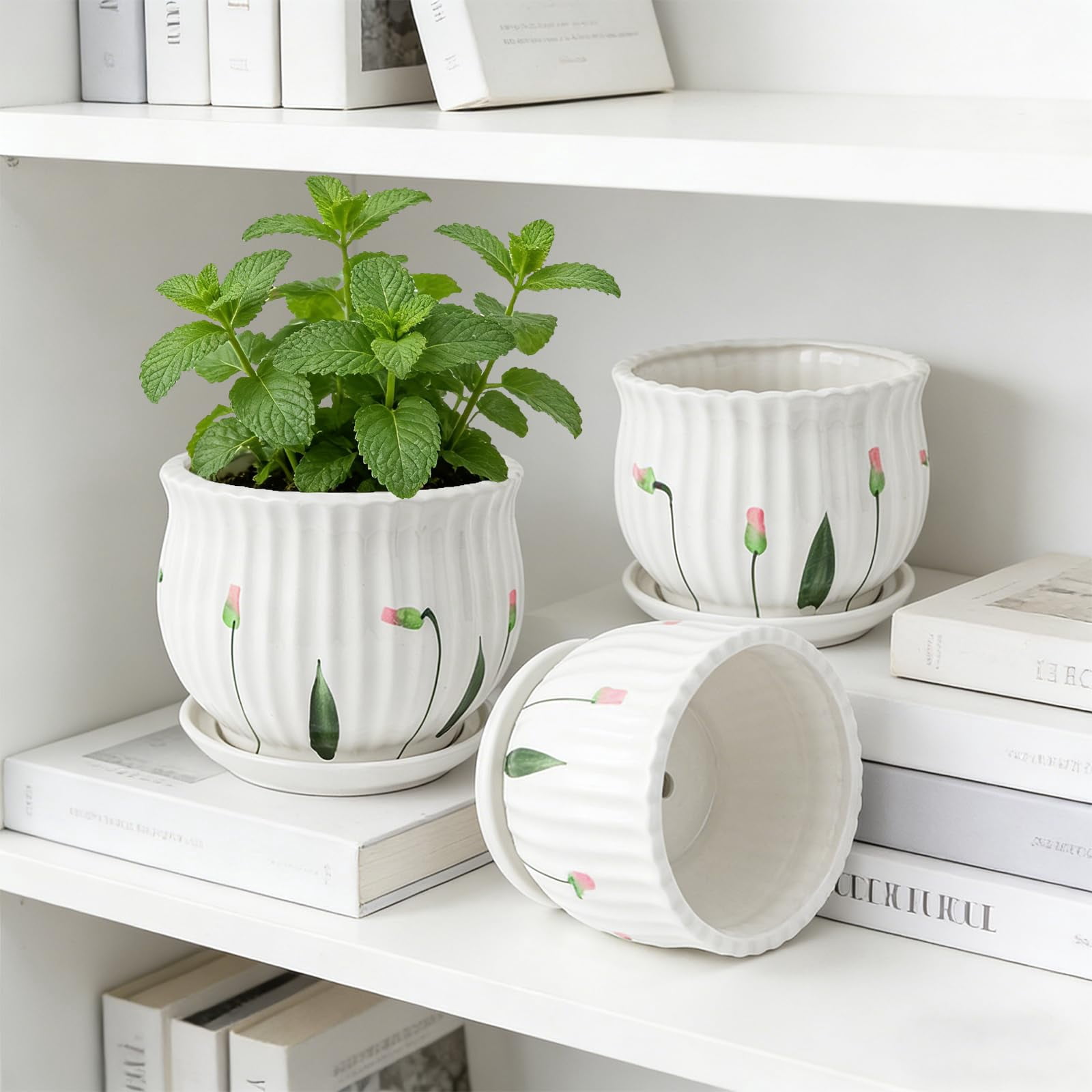 2 Pack Mini Ceramic Succulent Pots 2.5 Inch with Drainage Hole, Small Flower or Cactus Planters for Indoor Gardening