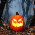 thumbnail image 5 of KMMYS Halloween Pumpkin Lantern, LED Lighted Decoration, Realistic Blow Molded Design, Festive Home Decor, Ideal for Parties and Photography, Versatile Fall Decor, Creepy Halloween Props, 5 of 6