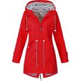 thumbnail image 1 of estilo caliente otoño e invierno nuevo producto chaqueta tres en uno de dos Abanopi Sobretodo, 1 of 6