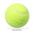 thumbnail image 2 of Pelota de entrenamiento de tenis de goma gruesa pelotas de tenis de práctica de alto rebote amarillas 12 Uds., 2 of 9