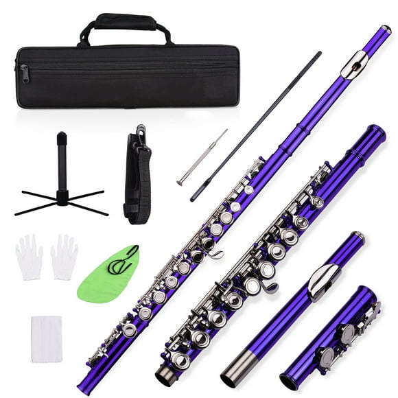 Yeacher Closed Hole C Flute 16 Keys Cupronickel Nickel-plated Wind Instrument with Carry Case Flute Stand Gloves Cleaning Cloth Mini Screwdriver Cleaning Rod