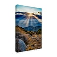 thumbnail image 2 of Trademark Fine Art 'Joshua Tree Sunset Ii' Canvas Art by Janice Sullivan, 2 of 3