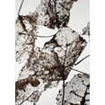 thumbnail image 2 of Design Fabrikken 11x14 Gold Ornate Wood Framed with Double Matting Museum Art Print Titled - Leaves, 2 of 4