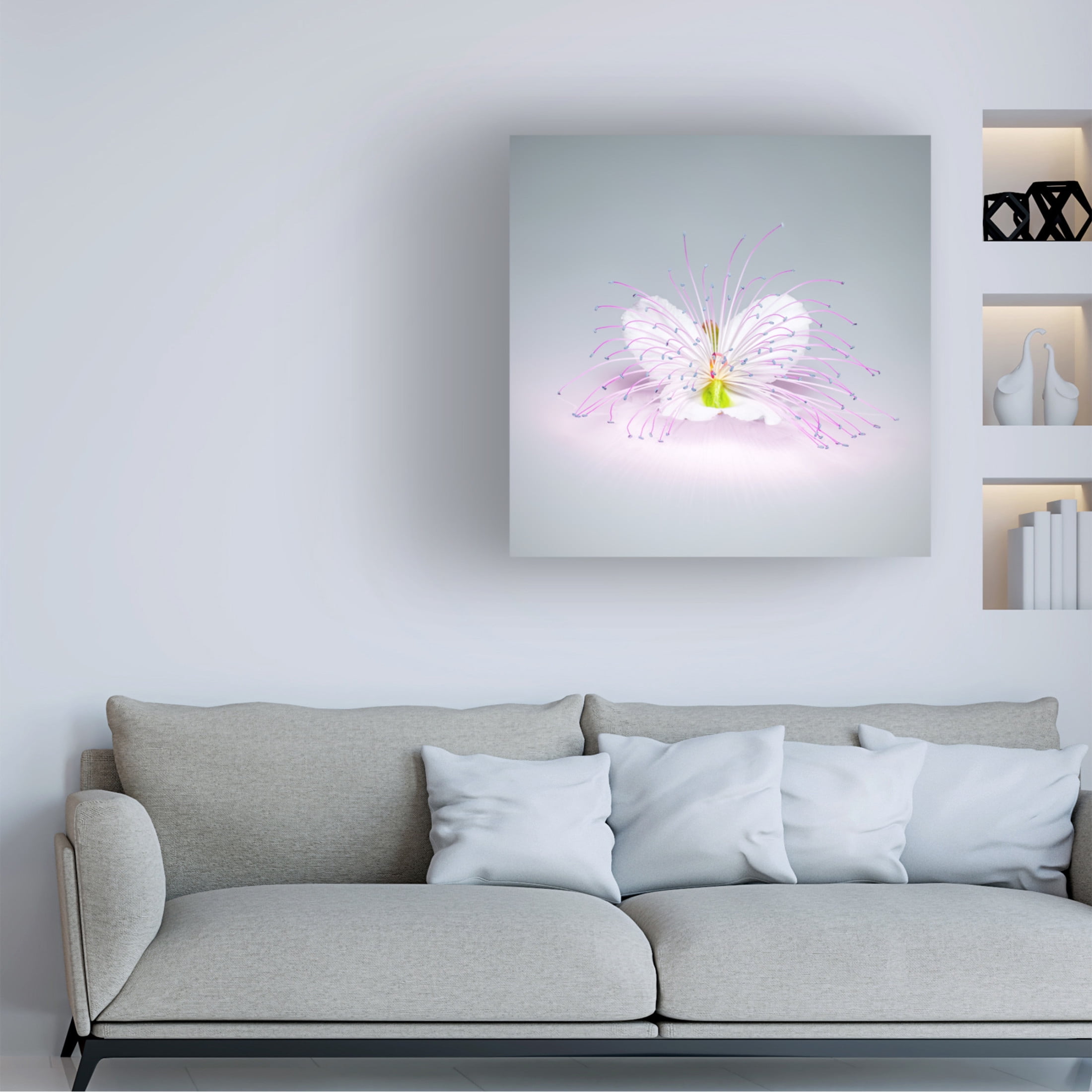 Canvas Wall Art - Rico Cavallo 'Caper Flower' Wall Art for Living Room, Bedroom, or Office Décor by Trademark Fine Art - 14 x 14 Inches