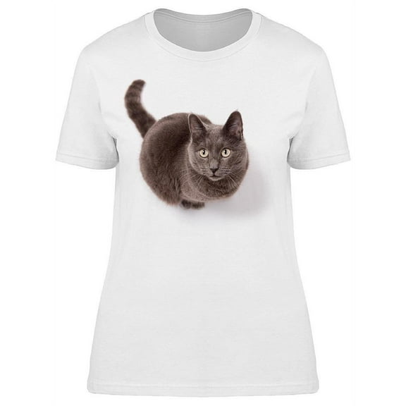 Fluffly Gorgeous Gray Cat T-Shirt Women -Image by Shutterstock, Female Medium