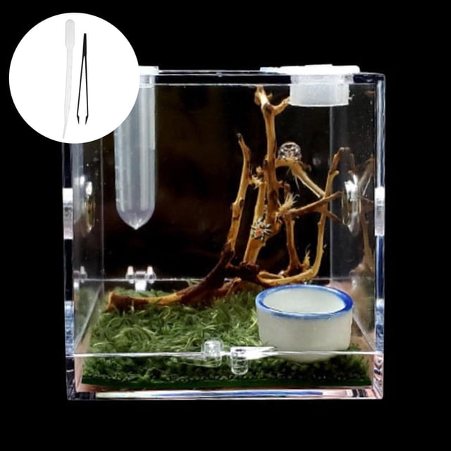 Ruifaya Jaula de acrílico para cría de arañas saltadoras, hábitat para arañas, insectos >ε ψэ μ