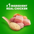 thumbnail image 3 of Iams Proactive Health Adult Soft Wet Dog Food Paté With Chicken & Whole Grain Rice, 13 Oz Can (Pack of 4), 3 of 6
