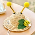 thumbnail image 3 of Walbest Dog Sombrero Hat, Sun Hat, Bee Style Hats for Pets Birthday Hats and Party Decoration, 3 of 7