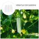 thumbnail image 3 of FENGGUIQU 3Ud Transparente Para Desarrollo De Pepino Natural Para Jardín Y Vegetales, 3 of 8