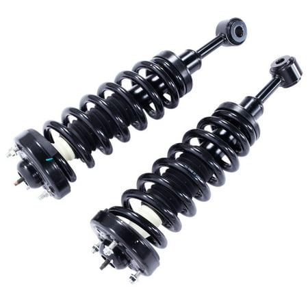 Ktaxon Pair of 2 Front (Both) Side Complete Ready Strut Assembly For Ford F150 -
