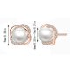 thumbnail image 2 of WILLBEST Aretes Para Mujer, Aretes De Perlas Bañados En Plata, Aretes De Perlas Incrustadas Para Mujer, Aretes De Perlas De Oro Rosa, Aretes De Joyería Para Mujer, Aretes Pequeños Y Frescos., 2 of 5