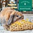 thumbnail image 5 of Oxbow Pet Products Essentials Adult Rabbit Food, 10 lbs. Dry, 5 of 8