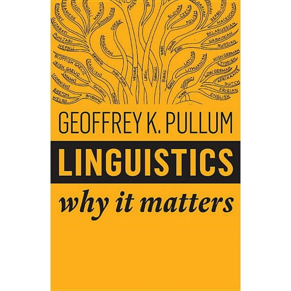 Why It Matters: Linguistics: Why It Matters (Paperback)