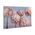 thumbnail image 4 of Stupell Industries Fluffy Pink Palm Trees Botanical & Floral Painting Gallery Wrapped Canvas Art Print Wall Art, 36 x 24, 4 of 8