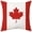 E, variant on HKUKY 18x18 Inch Flag Print Pillowcase Polyester Cushion Cover for Living Room Bedroom Double Sided Print for National Pride Peru