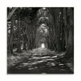 thumbnail image 2 of Gango Home Decor Point Reyes IV by George Johnson (Printed on Paper); One 24x24in Fine Art Paper Giclee Print, 2 of 4
