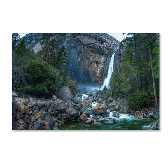 Trademark Fine Art "Yosemite National Park - California-IV" Canvas Art by David Ayash