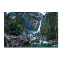 Trademark Fine Art "Yosemite National Park - California-IV" Canvas Art by David Ayash