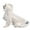 White-S, variant on Pet Rain Rainwear Body Cover with Hat for Dog Rain-Proof Mud-Proof Raincoats for Walks and Outdoor Activity