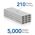 thumbnail image 3 of , S.F. 1 Standard Staples, 3 of 5