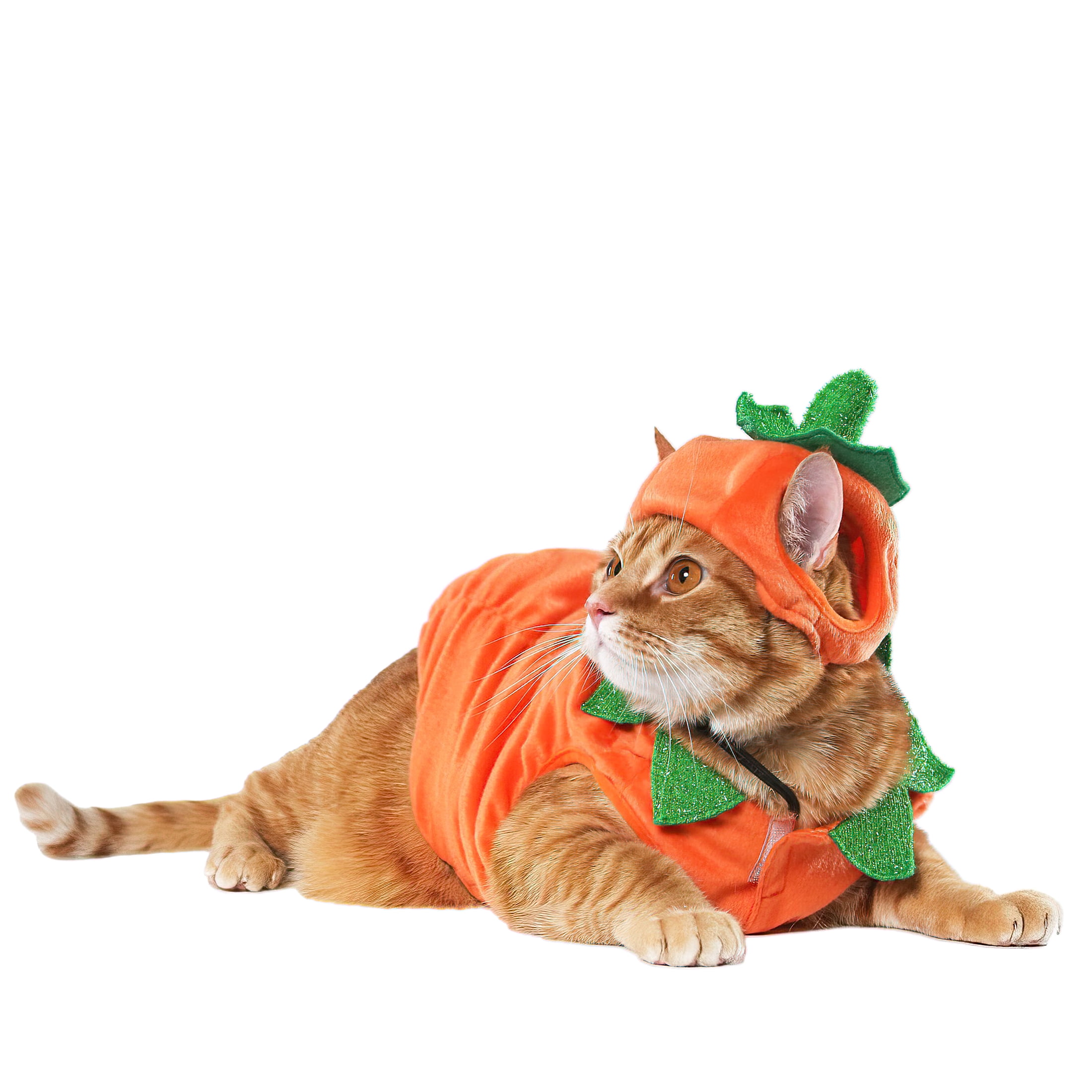 Vibrant Life Vl Hw Costume Pumpkin Small