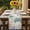 beige, variant on Teal Turtle Coastal Table Runner - 120 Inch Long, Kitchen Dining Table Runner Dresser Scarves, Octopus Coral Summer Beach Starfish Farmhouse Decor for Coffee Tables Wedding Party Banquet