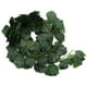 thumbnail image 1 of KAKOWELY 12 piezas de plantas de hojas de hiedra artificiales, follaje falso, guirnalda de hiedra, enredaderas verdes, 1 of 4