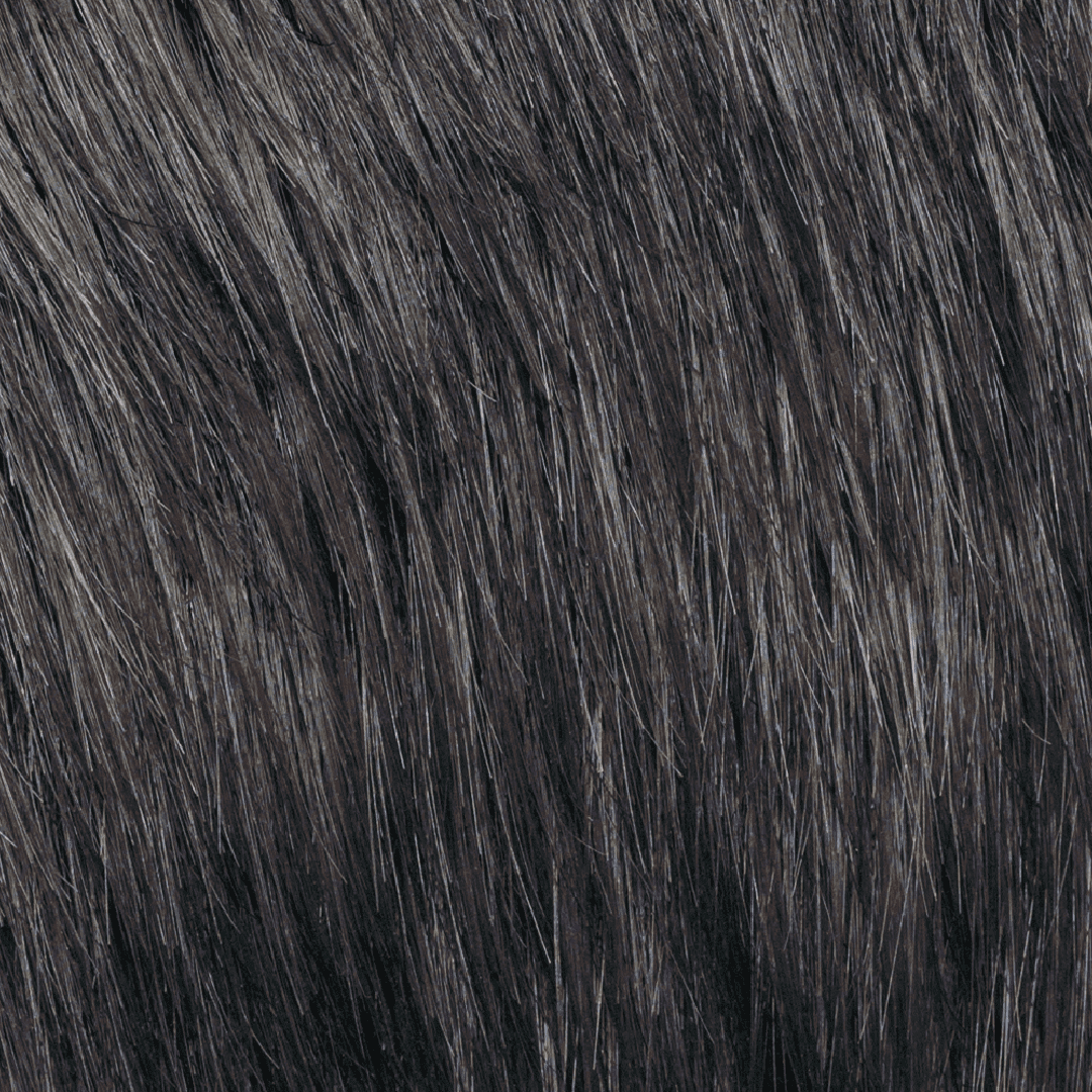 Darkest Brown-Black