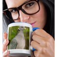 thumbnail image 2 of 3drose, a Band-tailed Pigeon, Bird - Na02 Rbr0000 - Rick A. Brown, 15oz Two-tone Blue Mug, 2 of 6