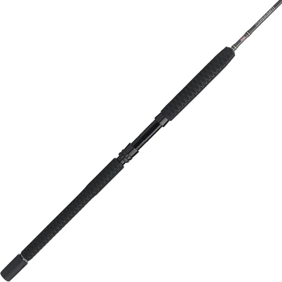 PENN Carnage III Spinning Boat Fishing Rod, 7' Fishing Pole, Light Power