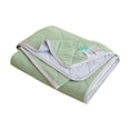 thumbnail image 2 of Fruit Green Ice Silk Mugwort Summer Cool Quilt Air Conditioning Quilt 100*150Cm,Air-Conditioning Quilt*1, 2 of 9