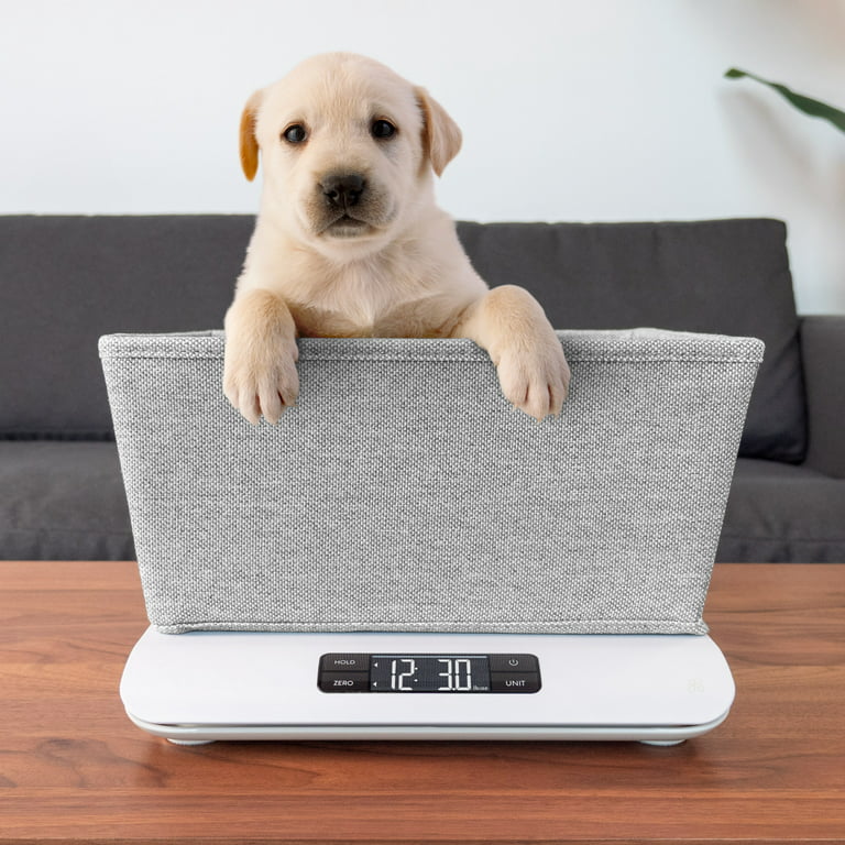 Small Weight Scale, Small Animal Scale