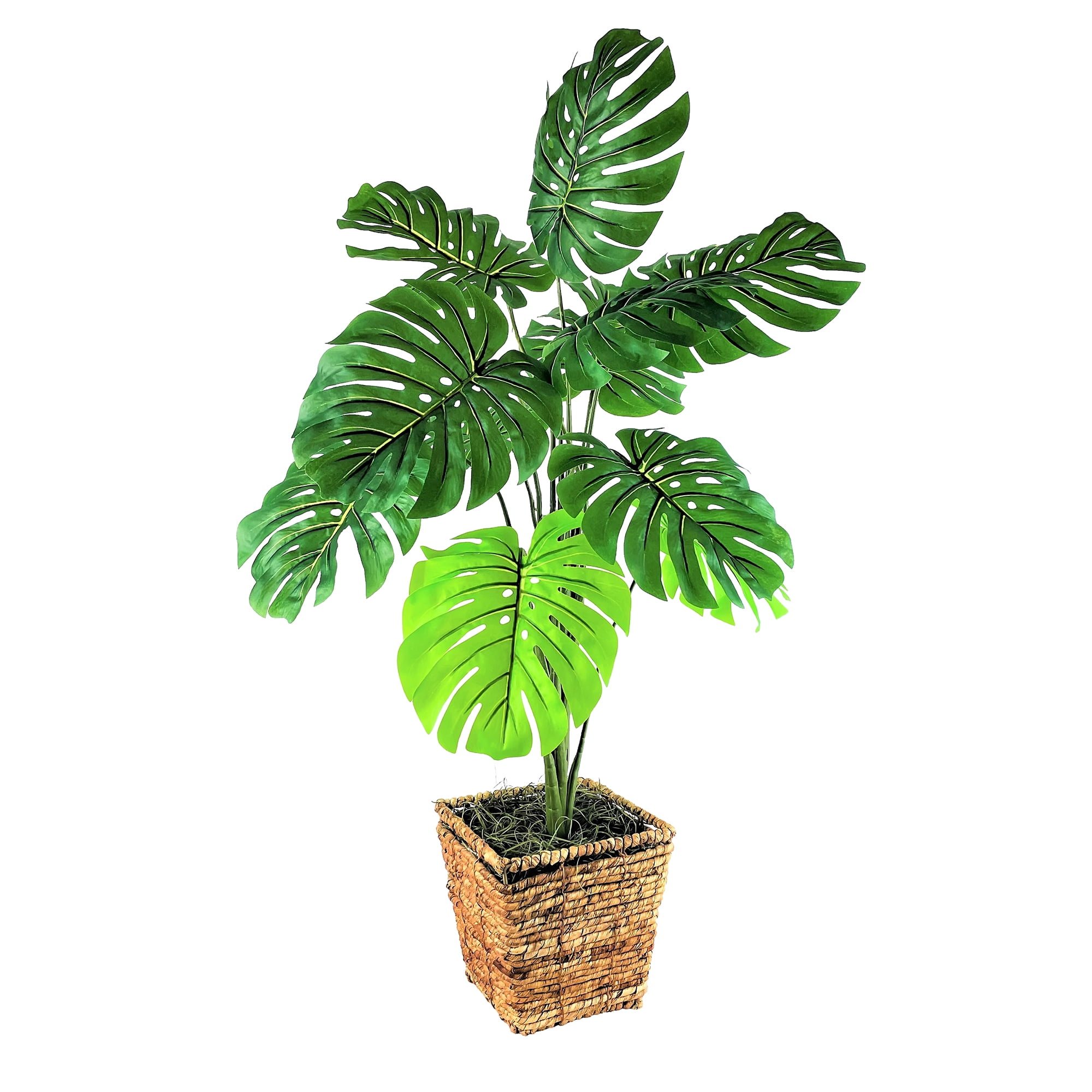 LCG Florals Artificial Plant, Monstera Plant, 3.33 ft, Square Basket