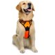 thumbnail image 1 of Laklulu Arnés para Perros sin tirones Clip Frontal Reflectante de Alta Resistencia Mango de fácil Control para Caminar con Perros pequeños, 1 of 5