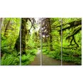 thumbnail image 2 of Chemin dans la Forêt Tropicale de Redwood - Impression sur Toile, 2 of 3