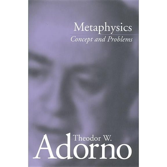 Metaphysics: Concept and Problems, (Paperback)