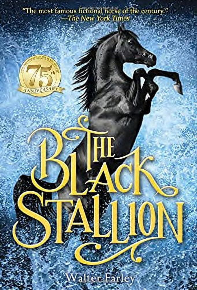 廃盤 3枚組 BLACK STALLION ワイルド・ブラック 少年の黒い馬 0118a862-9bf9-40dc-95f9-
