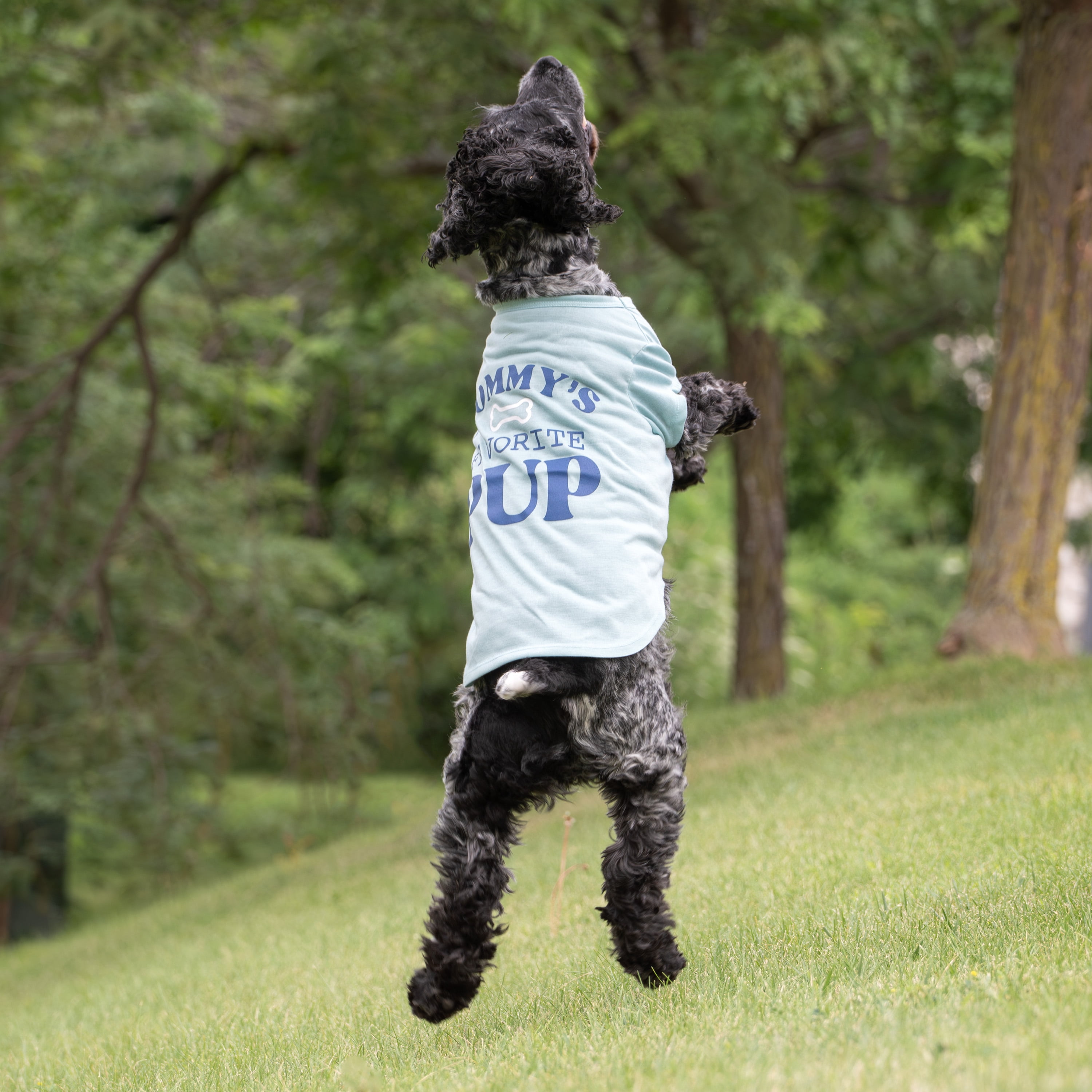 Vibrant Life Mommy's Favorite Pup Dog T-Shirt, Blue, Small